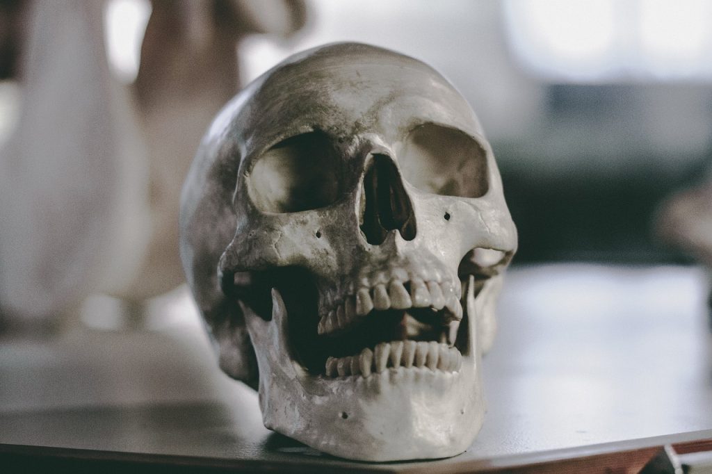 menschlicher Schädel, Forensik, Kriminalistik, True Crime, Beweisstück, Kriminalfall, Obduktion, Rechtsmedizin und Forensik.